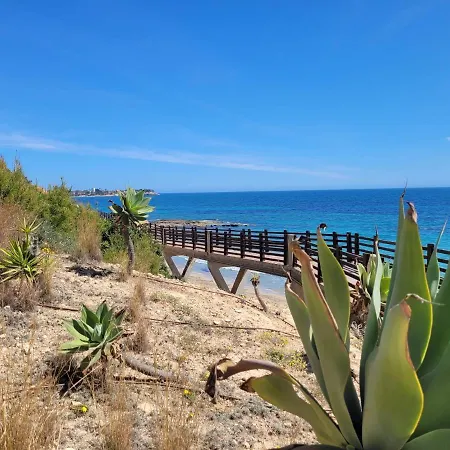 49 Laguna 또레비에하